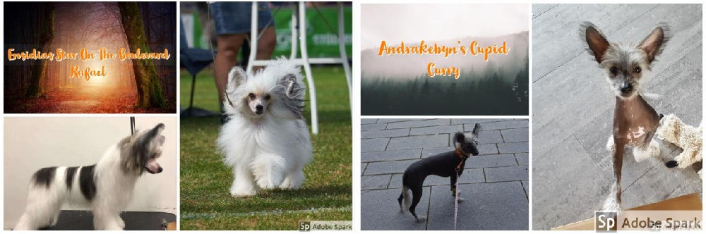Andrakebyn's
