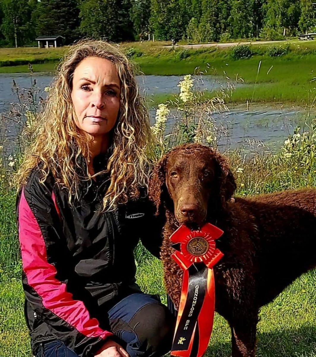 Curly Coated Retriever
