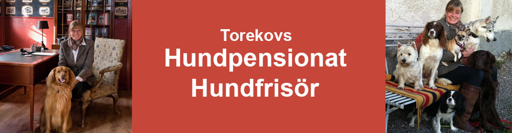 TOREKOVS HUNDPENSIONAT/HUNDFRISÖR