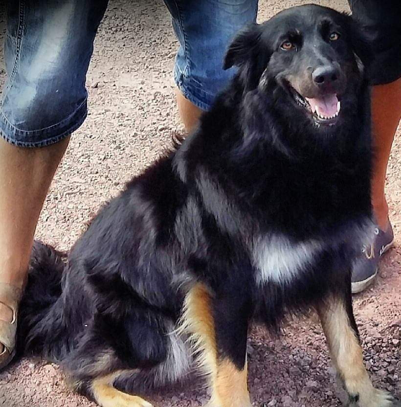 Lundatorpet