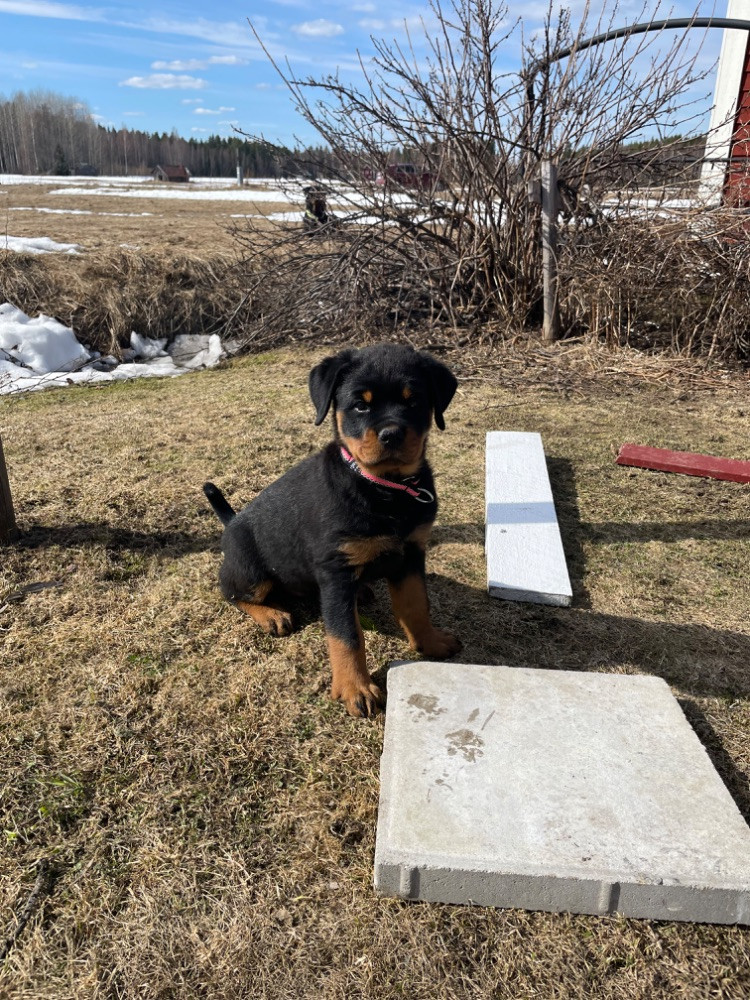 Jinsiy aloqada bolgan yosh lezbiyenler