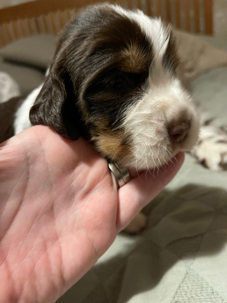 Skelder Bay