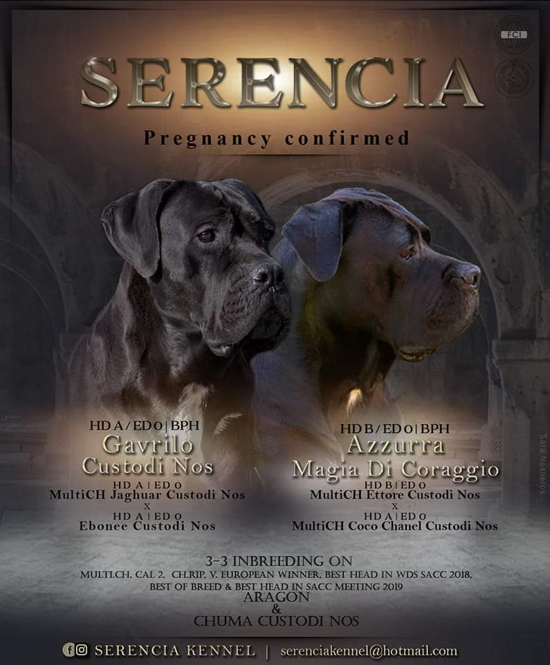 Serencia