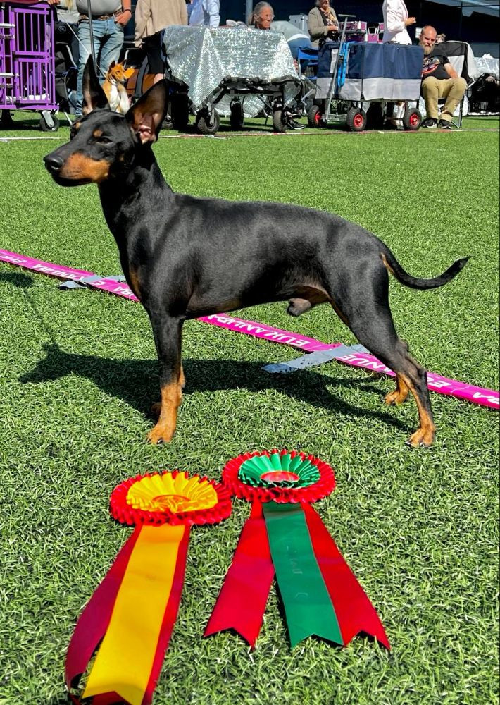 Geylar bilan qopol jinsiy aloqa Xotin sikiladi, eri pornoni yalaydi