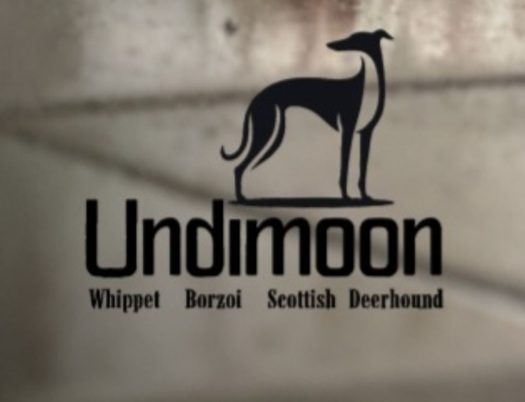 Undimoon
