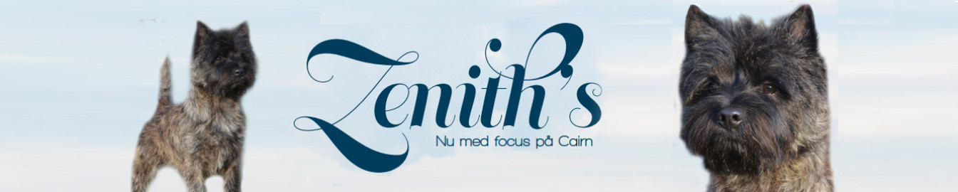 Zenith