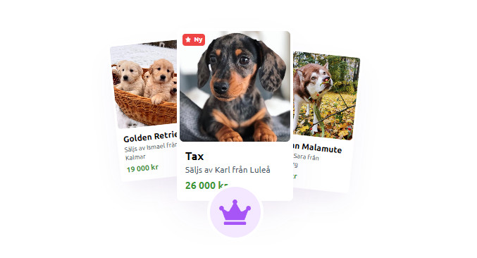 Skaffa Hund lancerer premiumtjeneste!