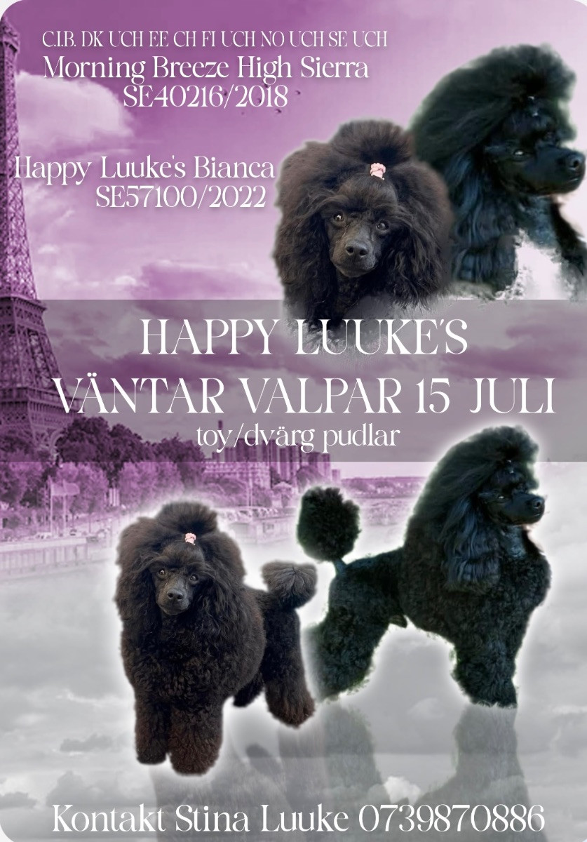 Happy Luuke’s
