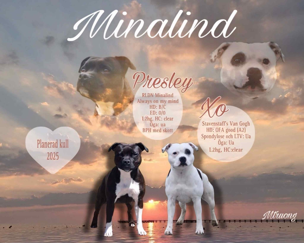 Minalind