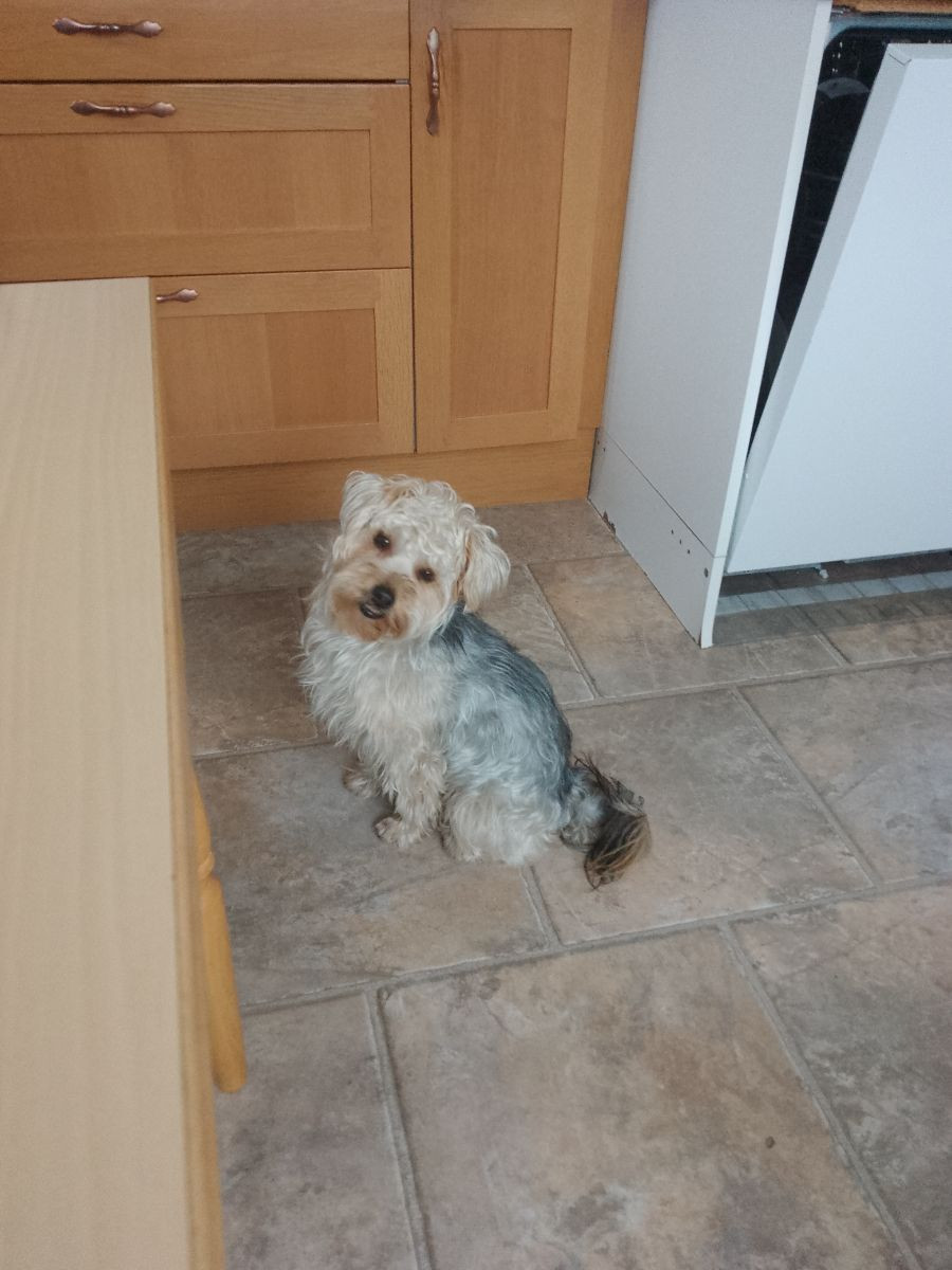 Mimi