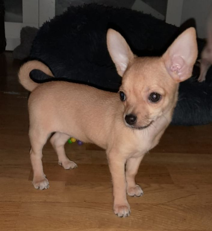 Bålsta