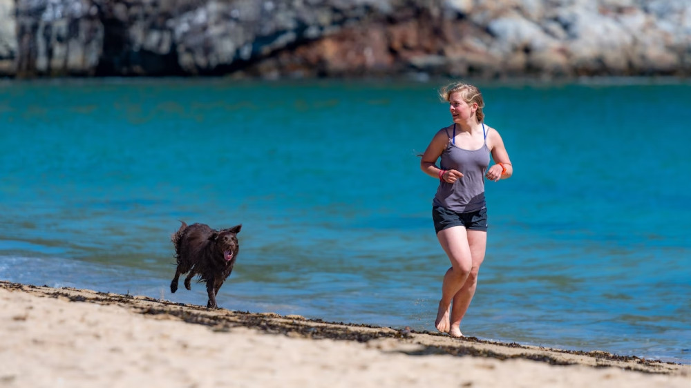 Train Together With Your Dog