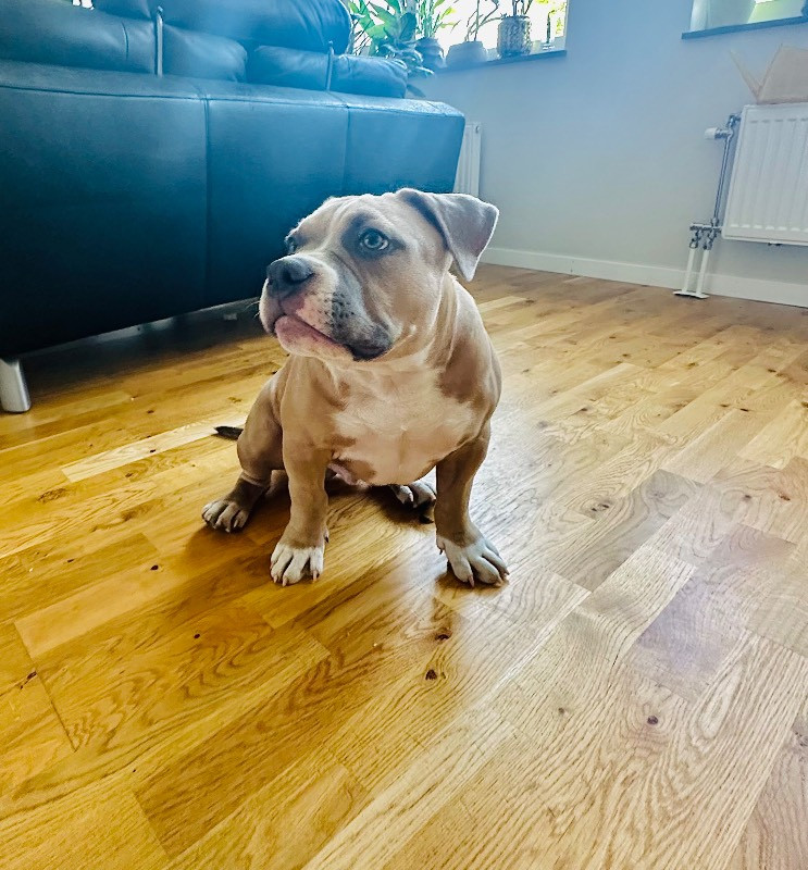 Tyson