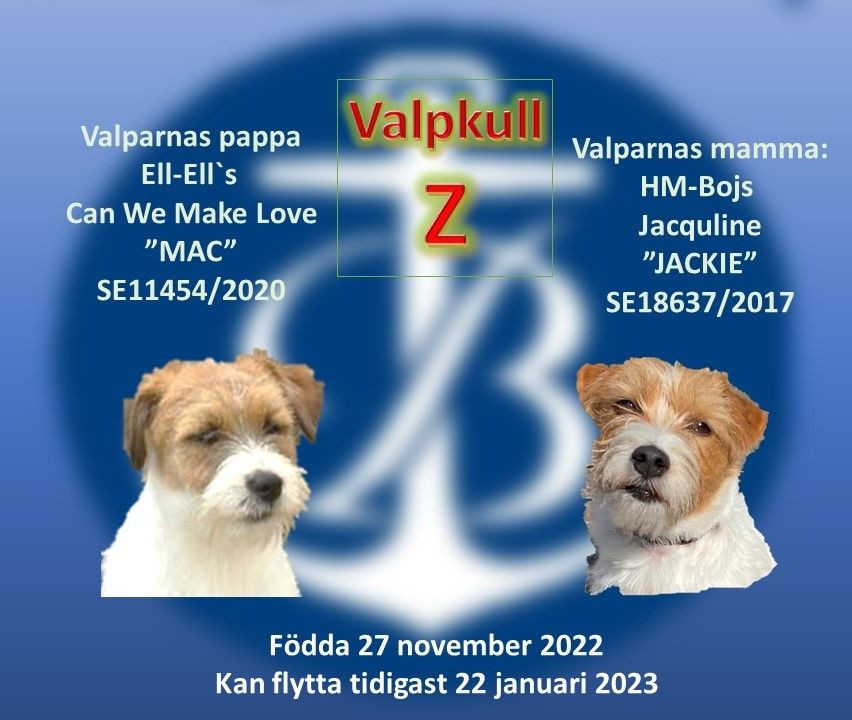 HM-Bojs kennel