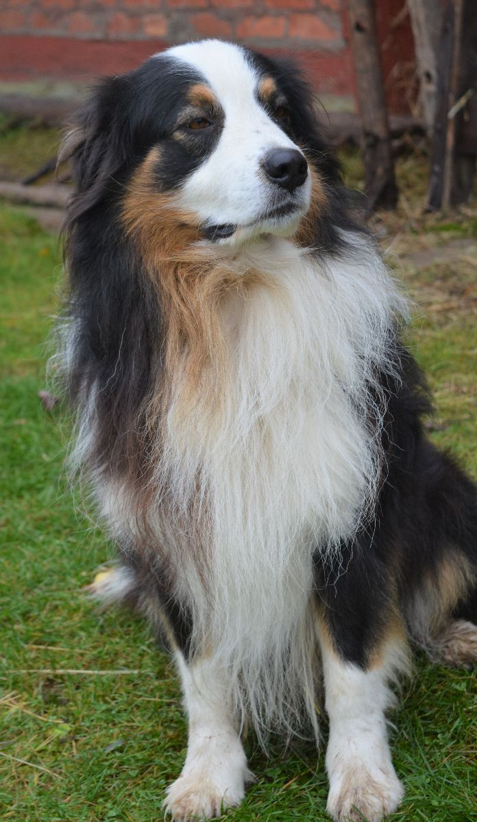 Aussie Bio Gård