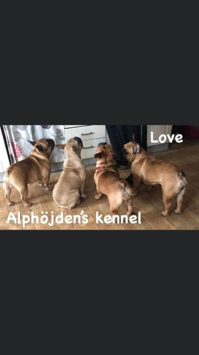 Alphöjden’s