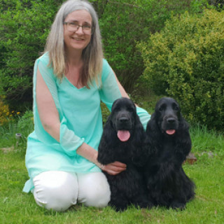 Blogg | Linqua's kennel