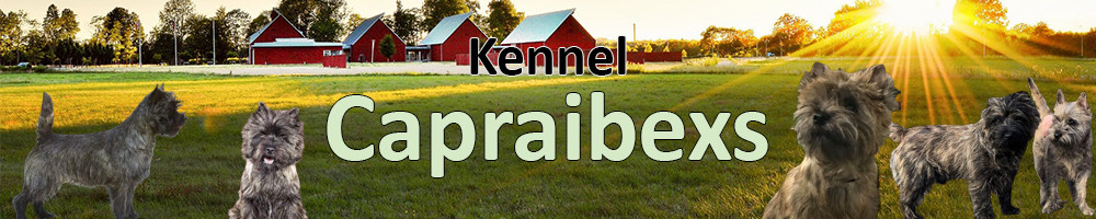 Kennel Capraibexs