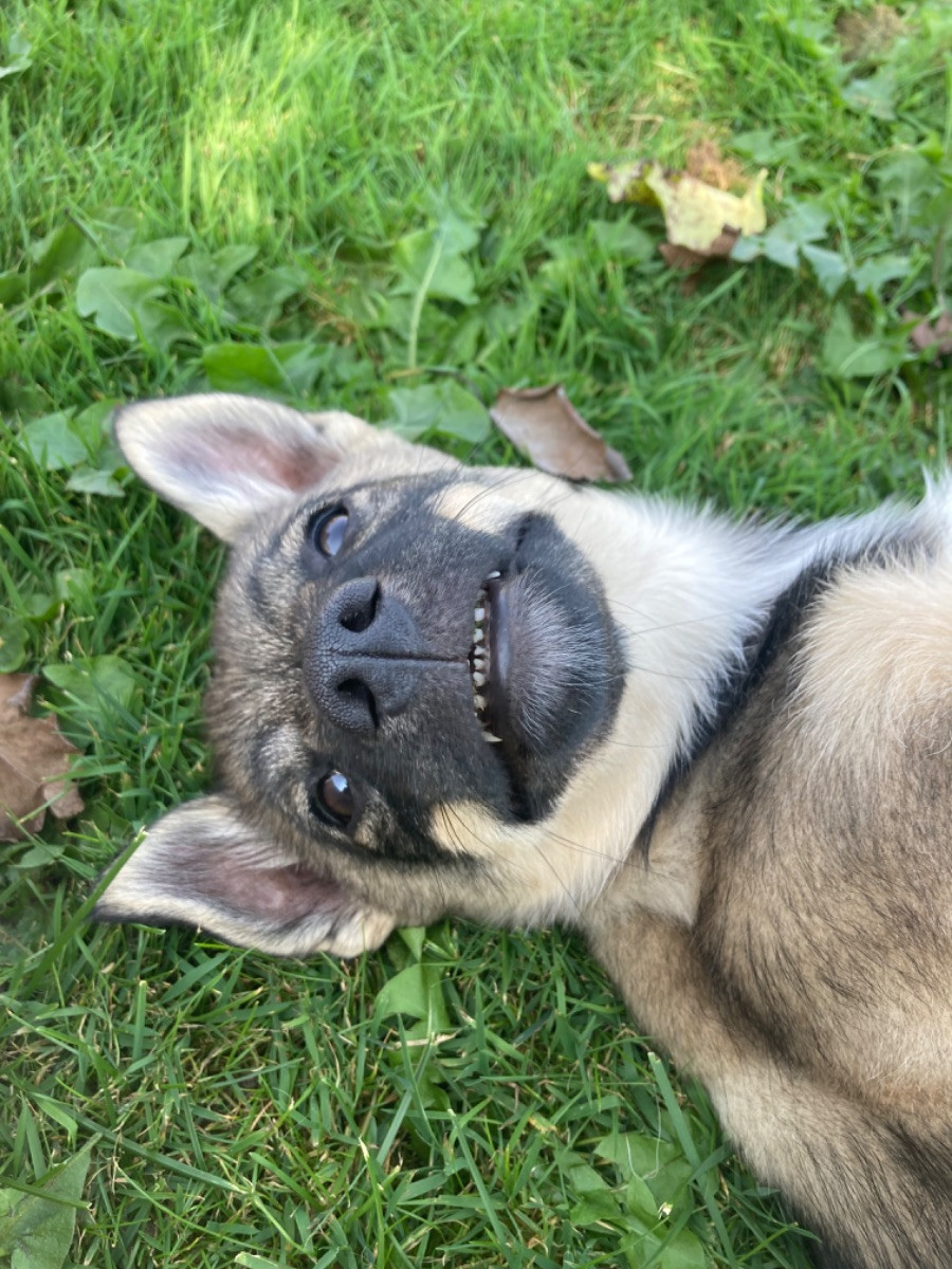 BO