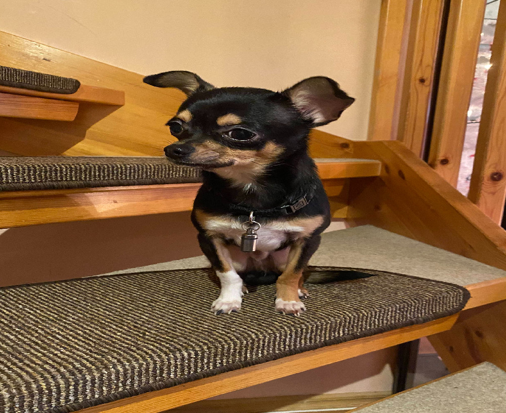 Riki