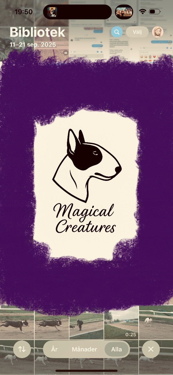 Magical Creatures