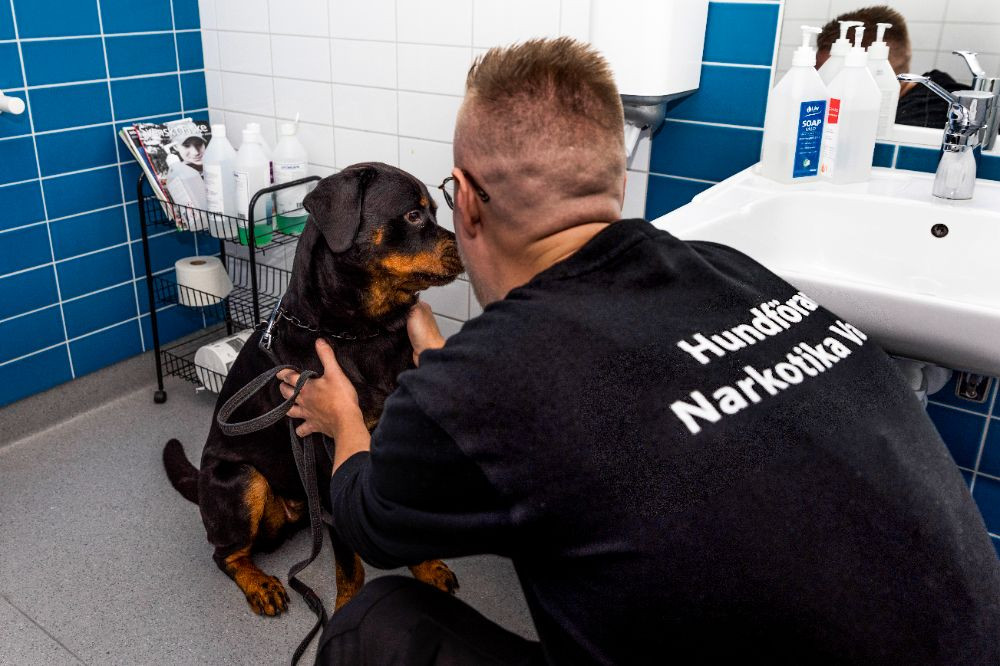 Rottweiler