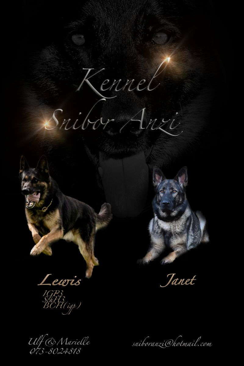 Kennel Snibor Anzi