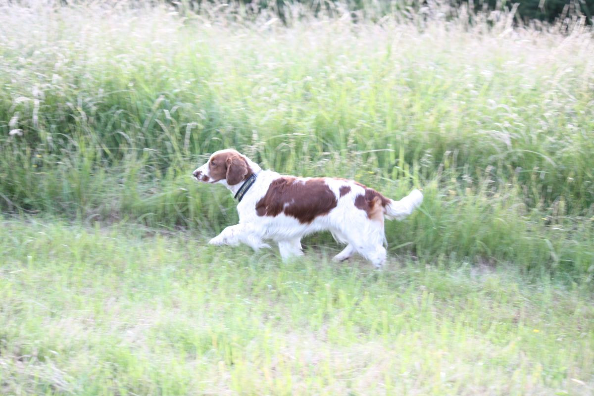 Lucky Rush