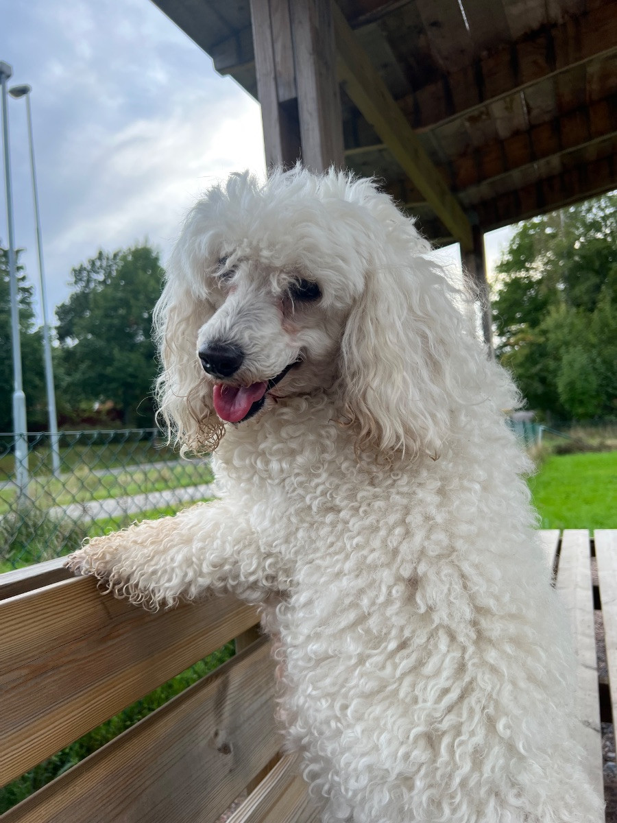 Anuradha’s Cutest Honey