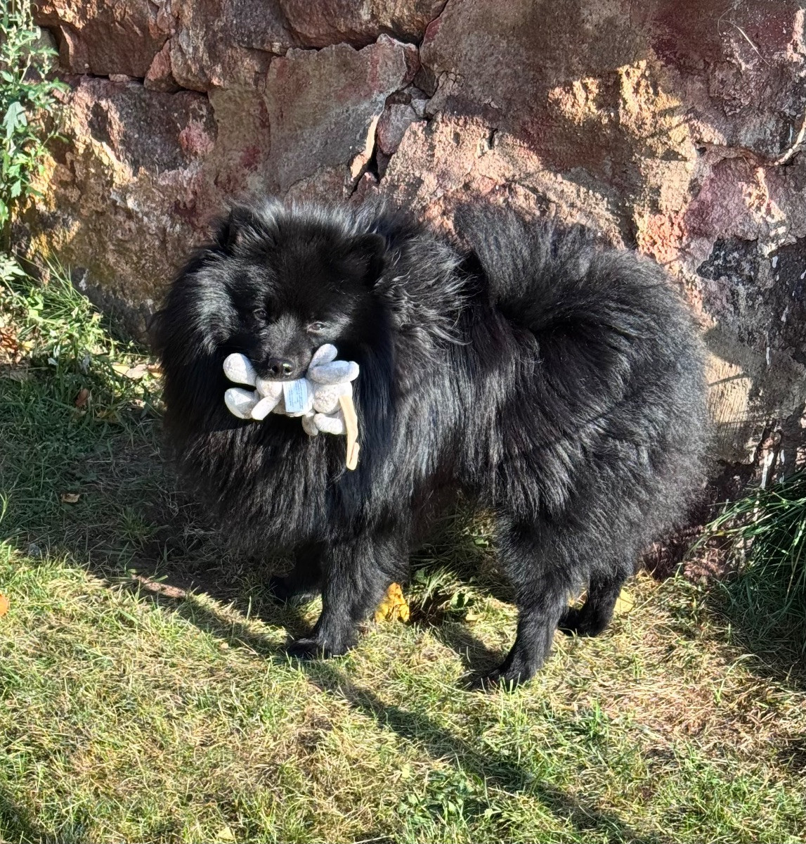 Småbitarnas