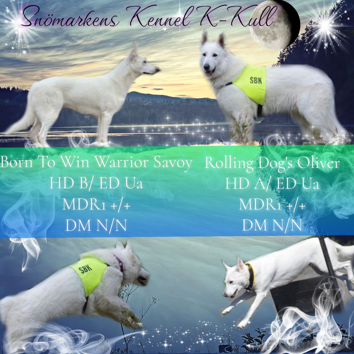 Snömarkens