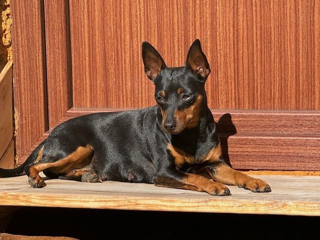 Bonnie