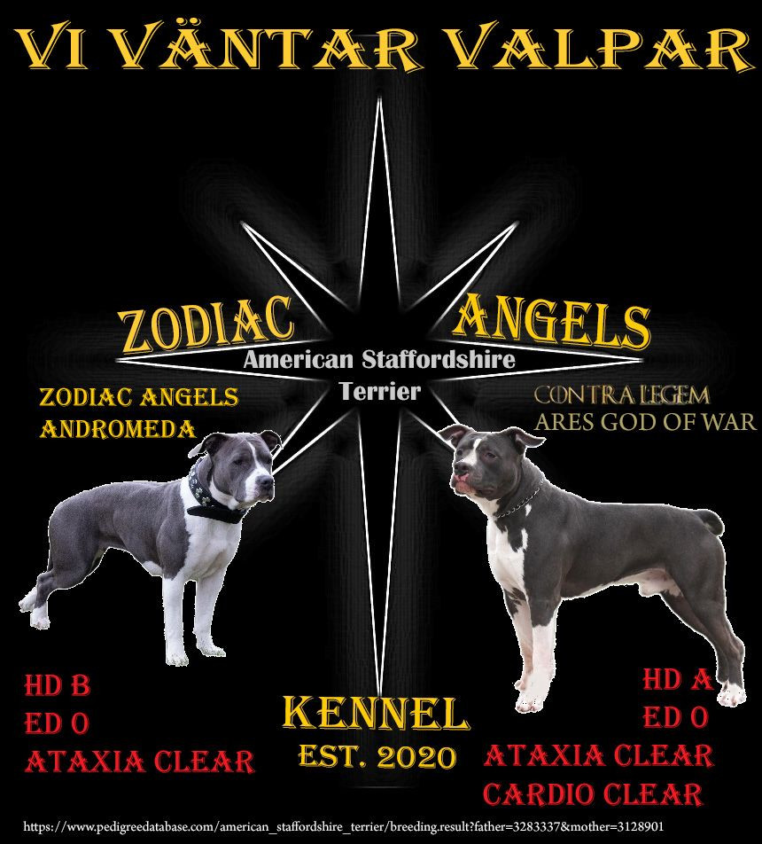 Zodiacangels