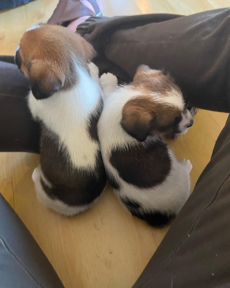 My Russells
