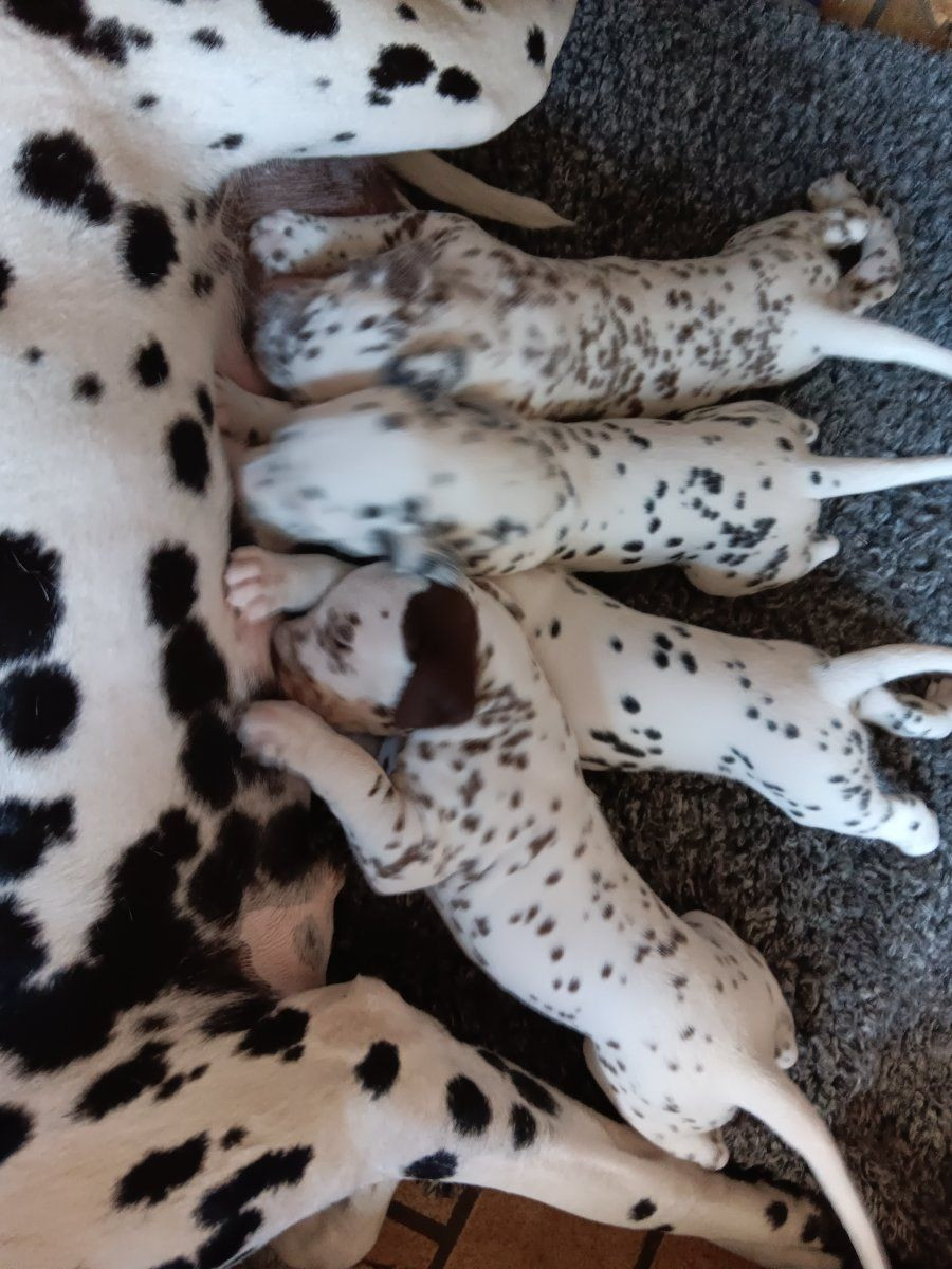 Bestspots