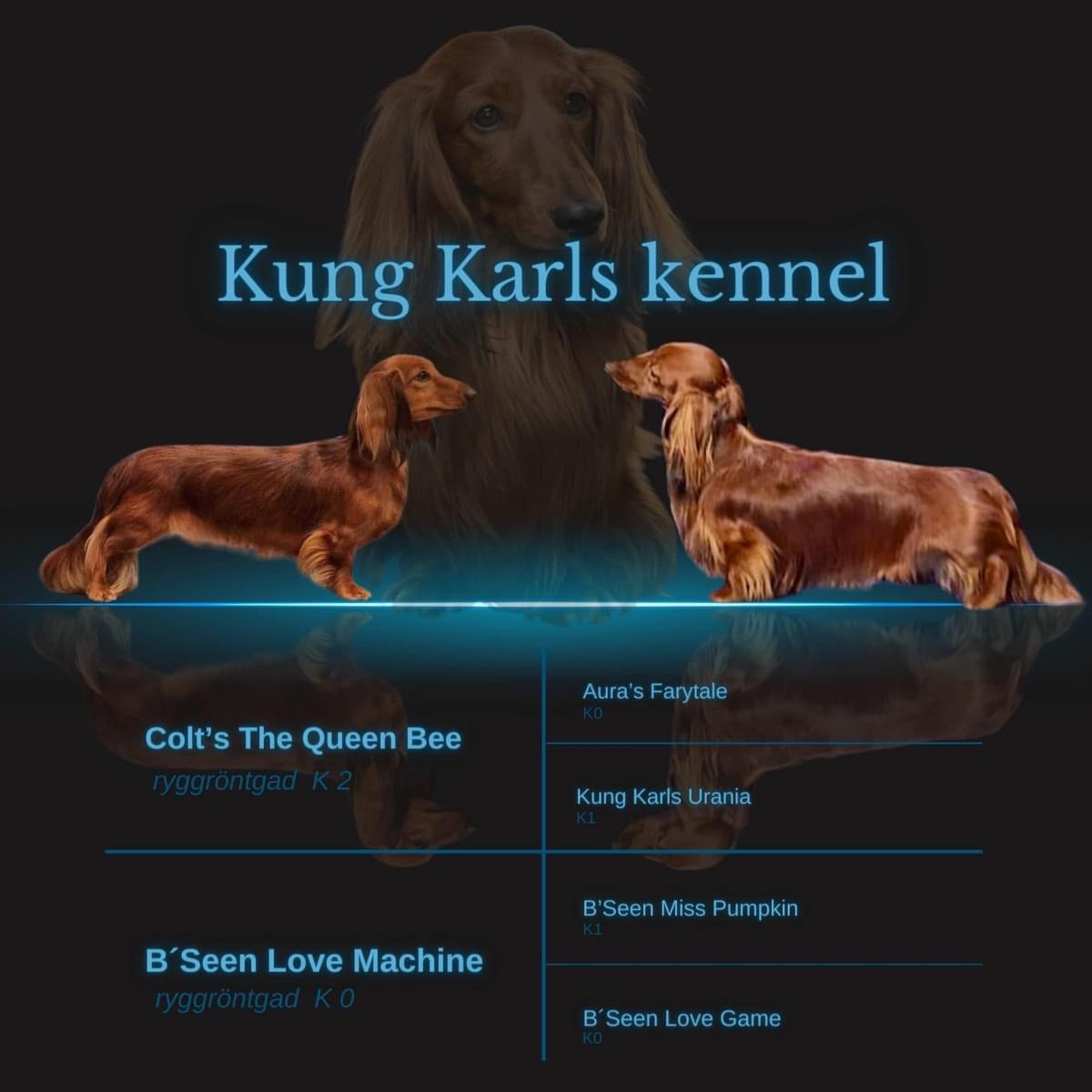 Kung Karls