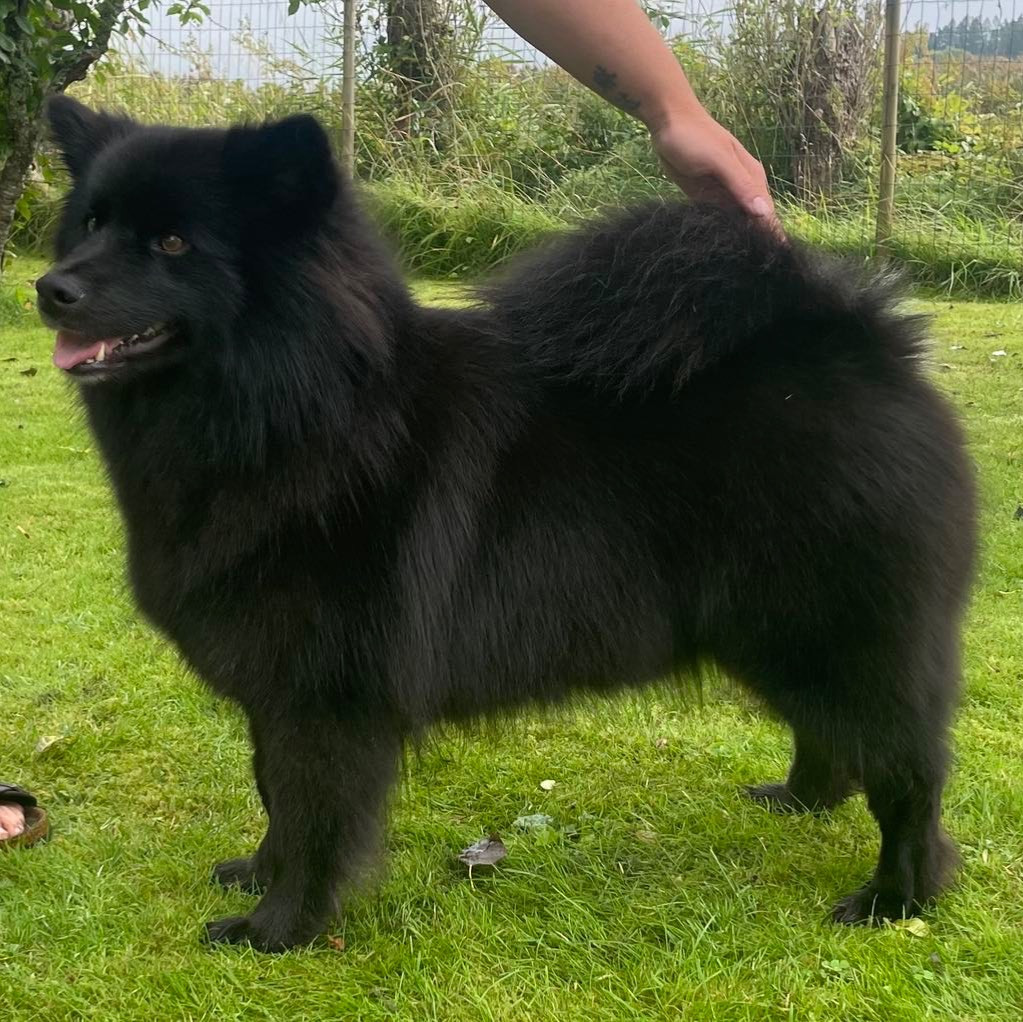 Sáráhkká av Vintervidda