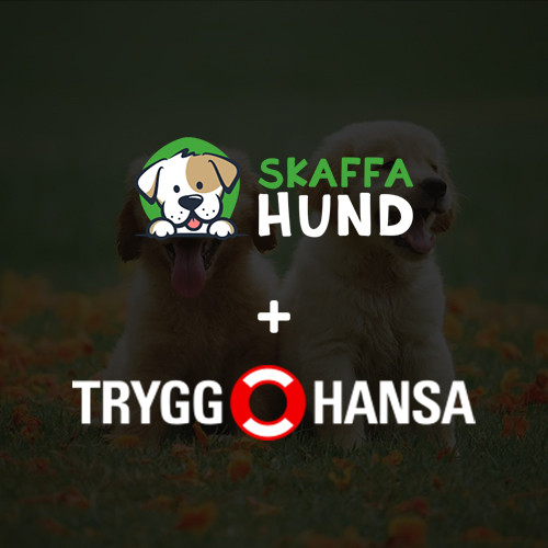 Skaffa Hund & Trygg-Hansa Launch Partnership to Offer Dog Buyers Excellent Insurance