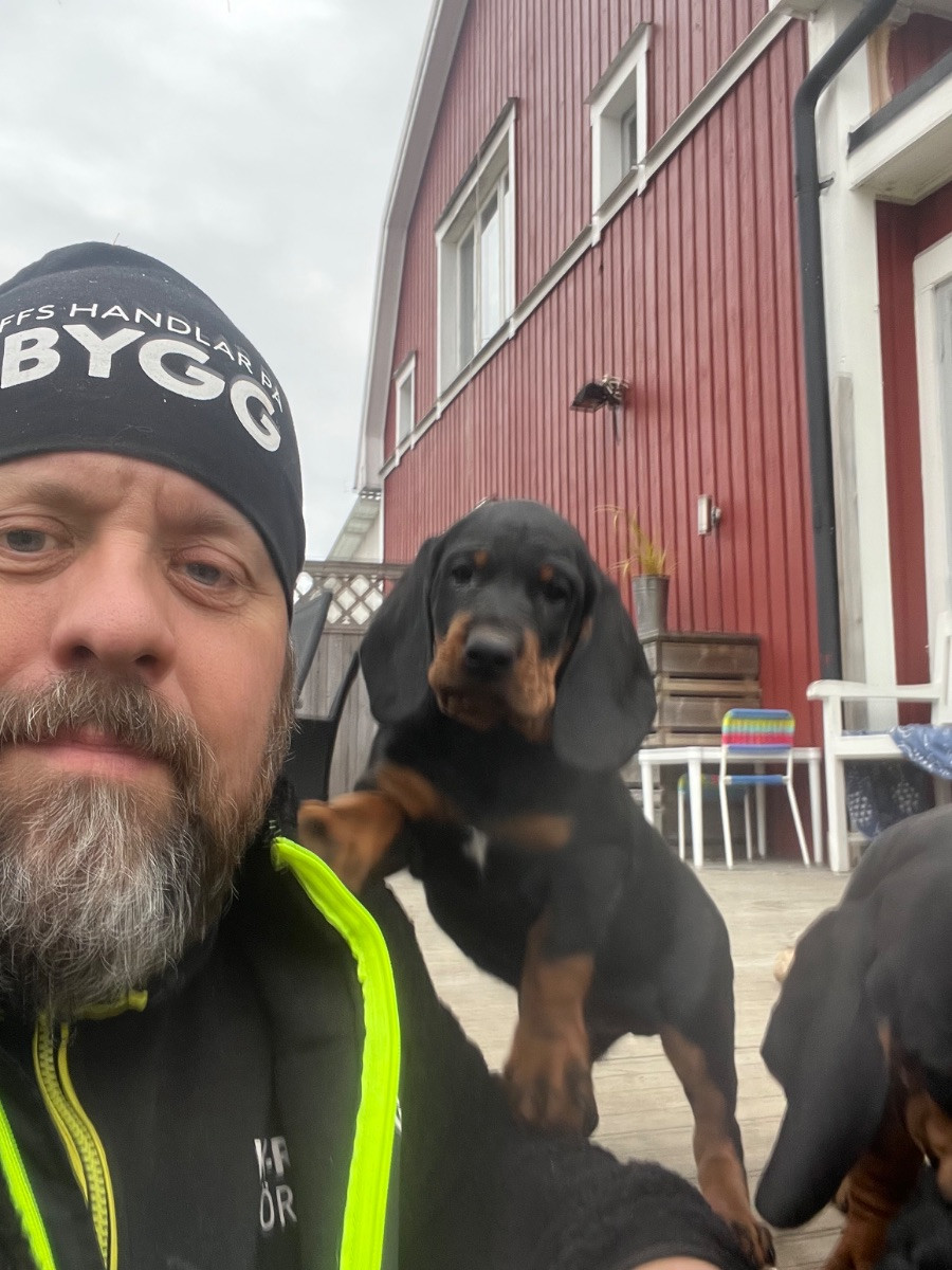 Andreas Pettersson