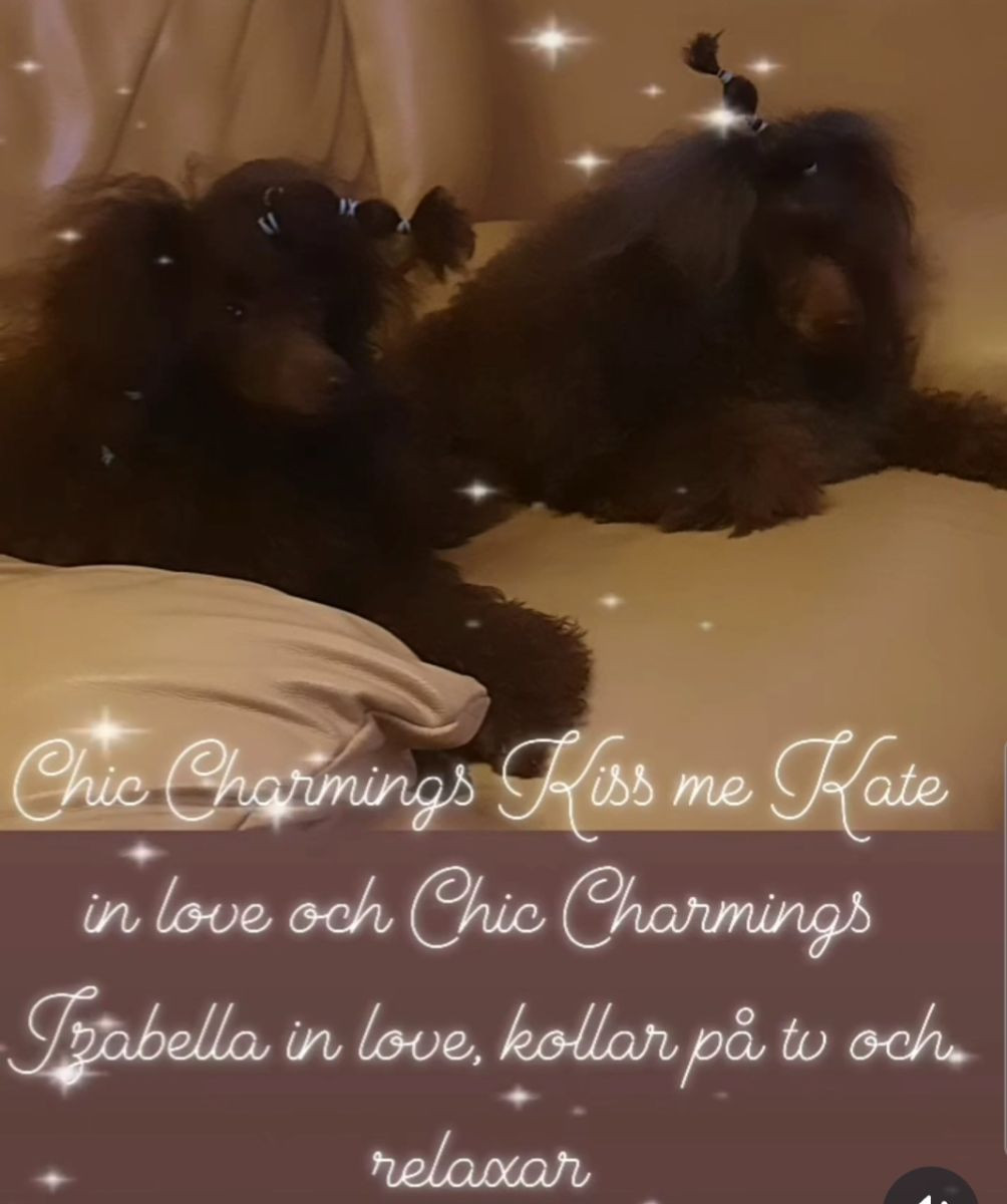 Chic Charmings