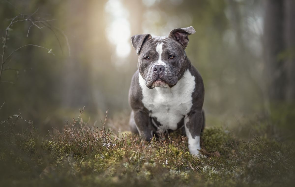 Hilda