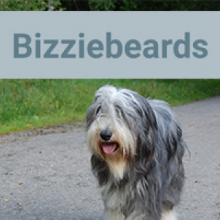 Startsida | Bizziebeards