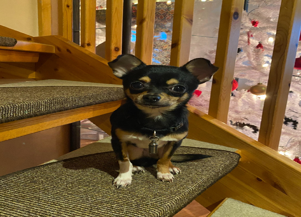Riki