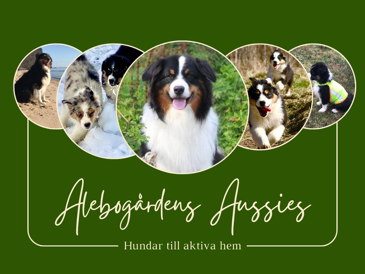 Alebogårdens