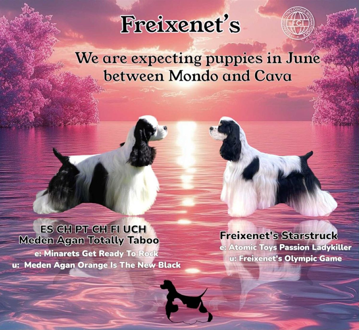 Freixenet's