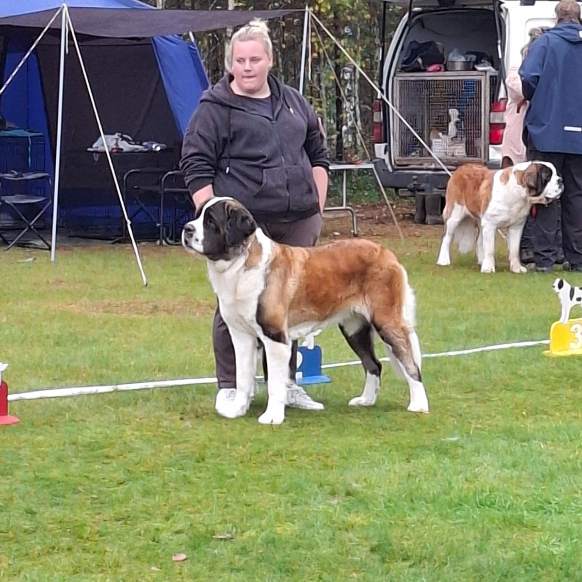 Fredsduvan's Kennel