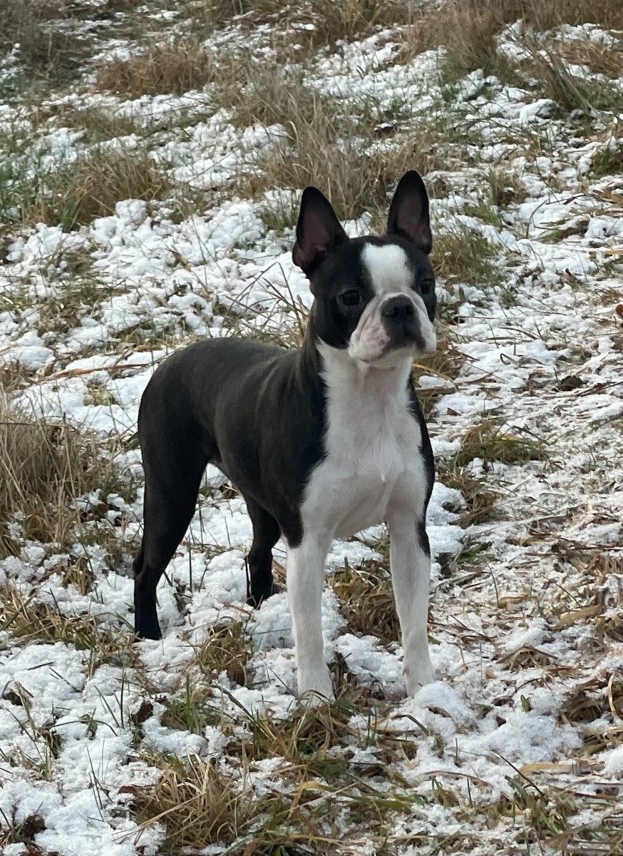 Walk on Clouds All Time Mercedes