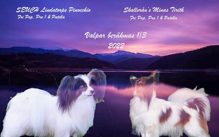 Skallvrån's