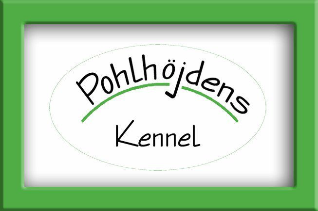 Pohlhöjden