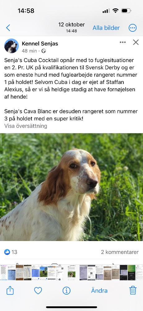 Staffan Alexius